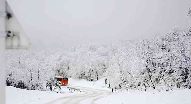 冬日记忆：朋友雪地写真，雪花飘舞抖音文案创作