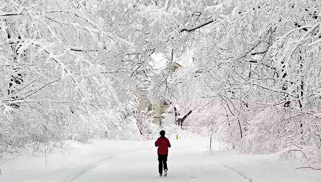 冬日记忆：朋友雪地写真，雪花飘舞抖音文案创作