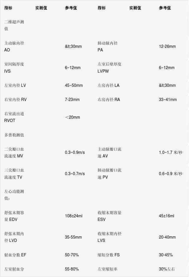 心脏超声报告单常用参数：解读与完整列表