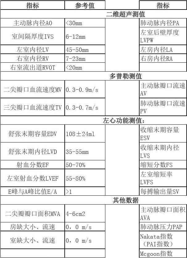 心脏超声报告单常用参数：解读与完整列表