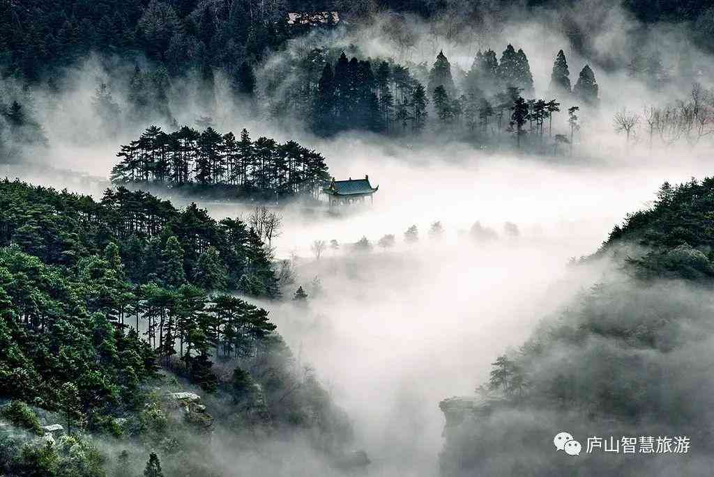 ai景观设计文案怎么写好：撰写与策划完美景观设计文案指南