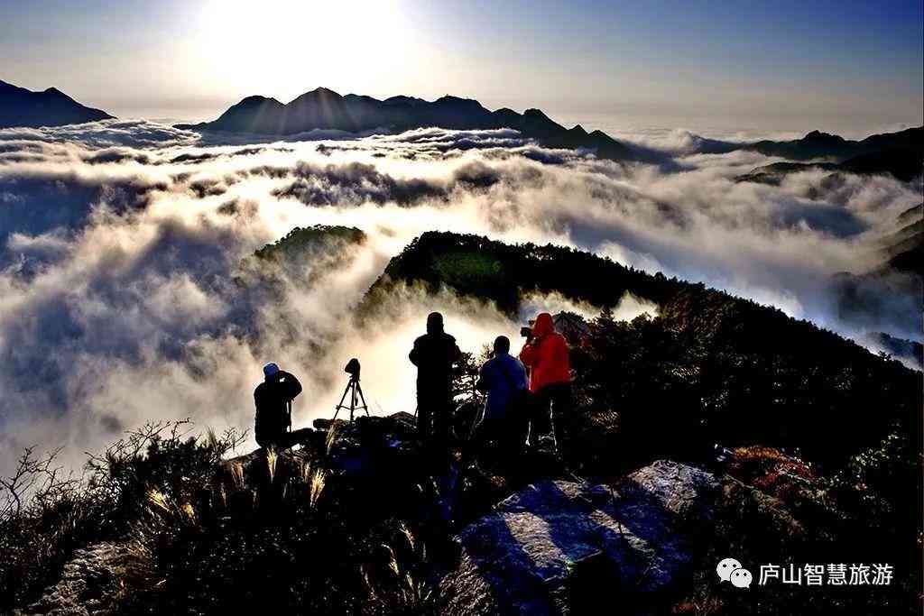 景观设计文案：从模板、方案范文到简短撰写与素材整合指南