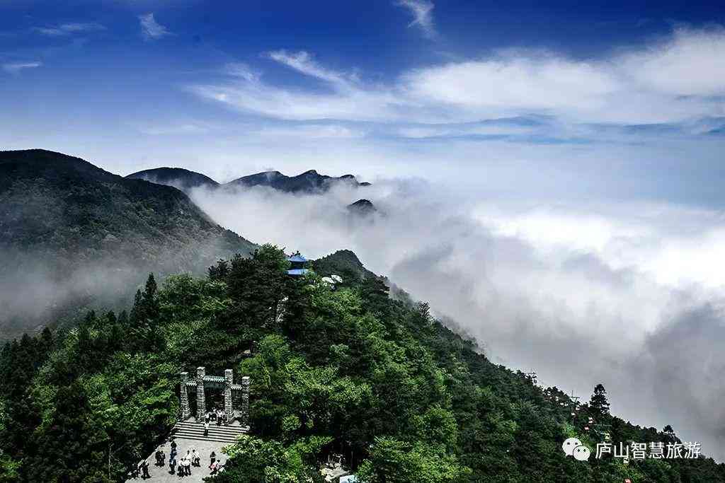 景观设计文案：从模板、方案范文到简短撰写与素材整合指南