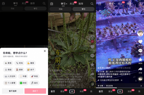 抖音创作者全面攻略：功能详解与高效使用技巧，助您成为短视频达人