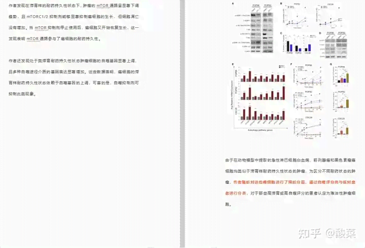 如何利用工具在开题报告中高效输入和生成参考文献