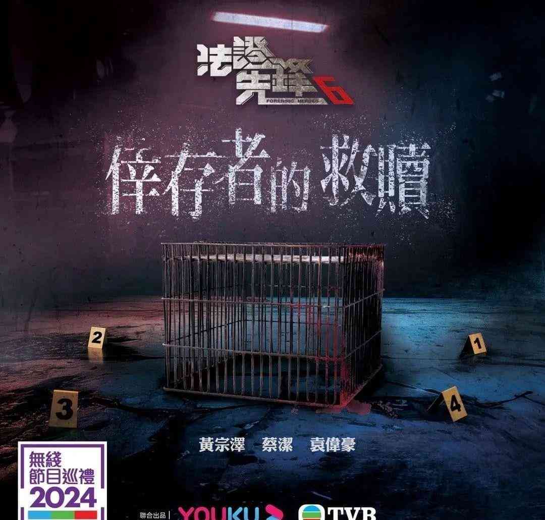 全方位评测：2024年AI网文写作软件盘点与选择指南