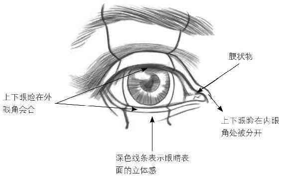 如何为AI绘画创作吸引眼球的文案内容