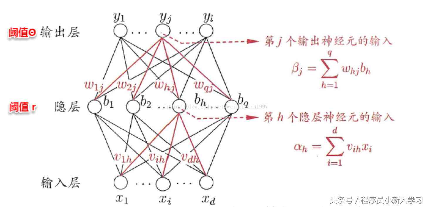 全面解析：算法设计实验报告中的设计思想撰写指南与实践案例