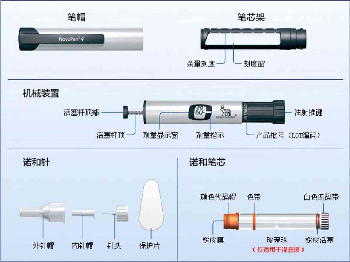 小红笔功能详解：用途、特点及常见问题解答