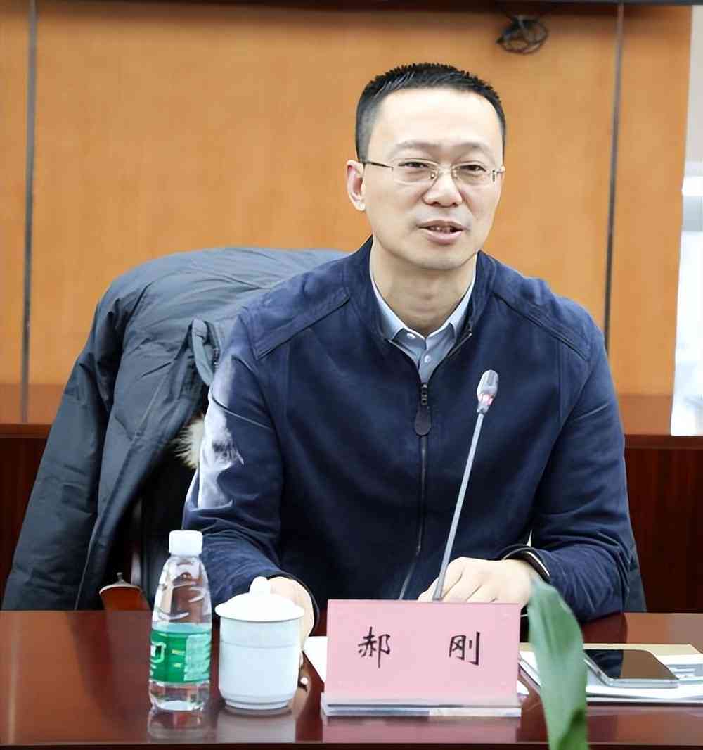 AI生成银行调查报告的软件：自动化数据收集与分析，提升金融风险评估效率