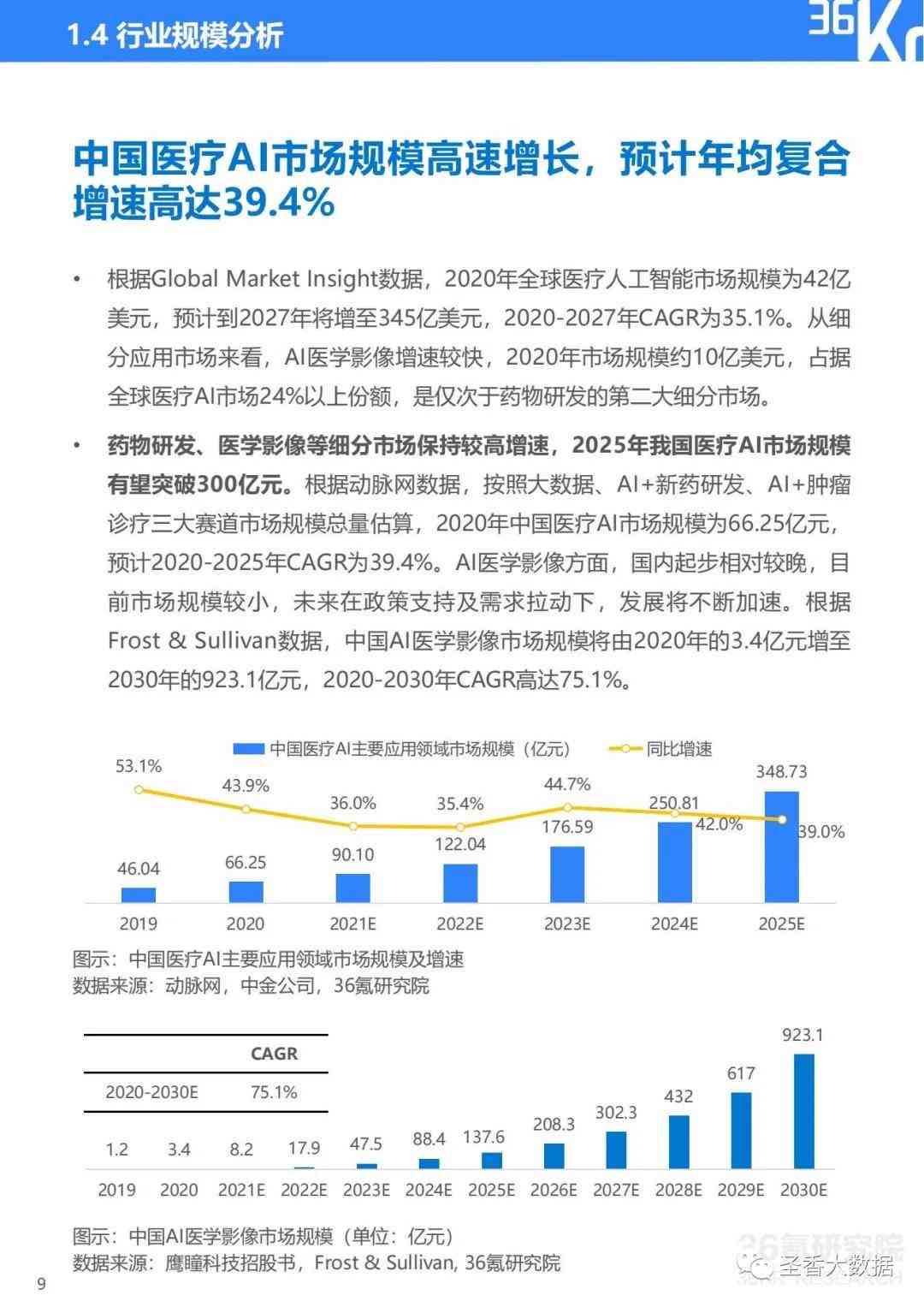 ai诊断行业规模分析报告：撰写指南与模板示例