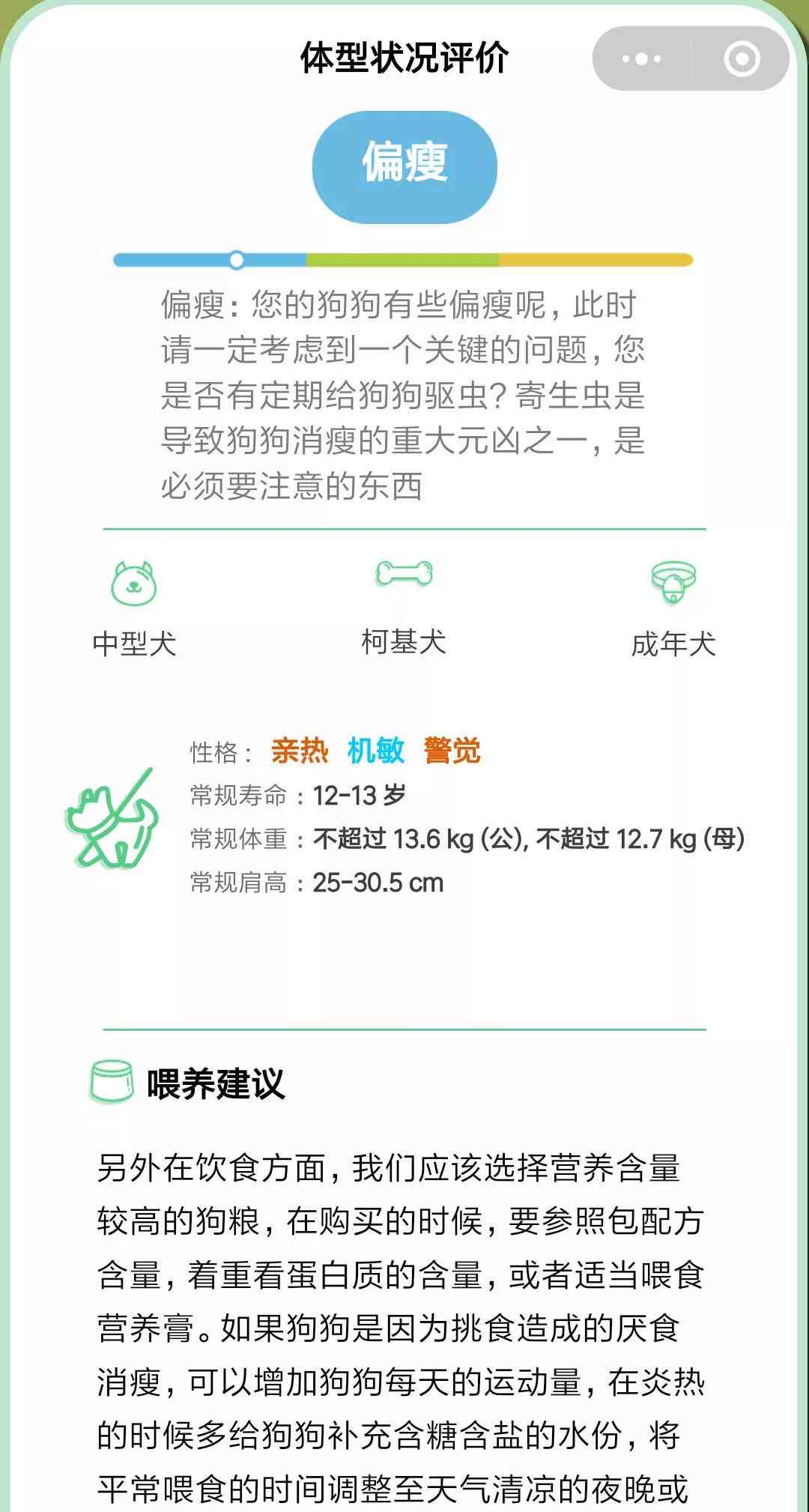 AI文案创作神器：一键生成高质量文章，全面解决写作难题与搜索需求