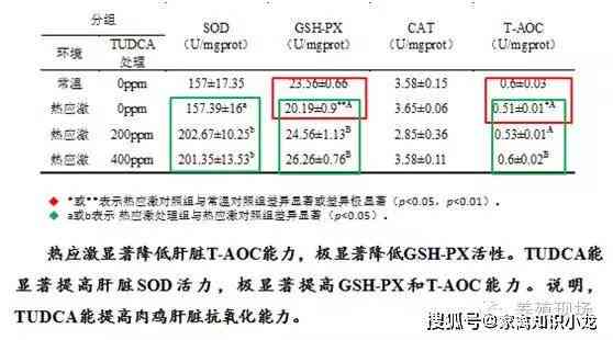 开题报告综述字数要求及撰写要点详解：全面解答字数限制与结构布局问题