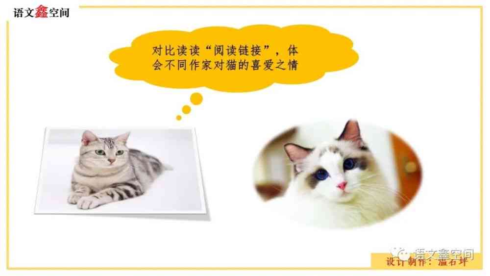 猫创作全程指南：从构思到成文，全面解析猫写作文的秘诀