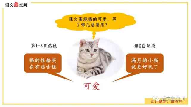 猫创作全程指南：从构思到成文，全面解析猫写作文的秘诀