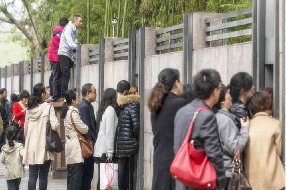 小朋友智能幼儿园全景指南：课程特色、环境设、师资力量与家长评价解析