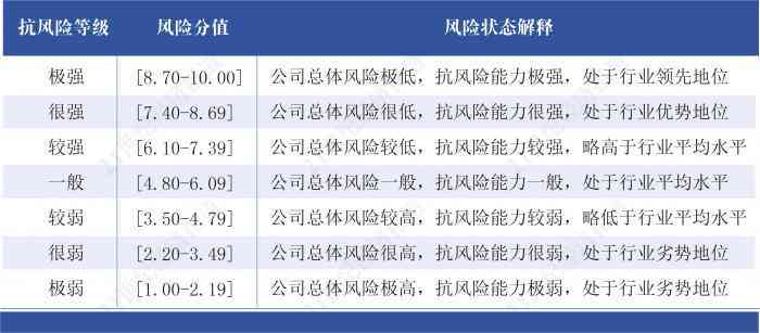 保险风险估测：方法、报告、测评与风险评估标准概述