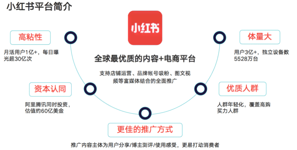 全方位攻略：小红书营销秘，深度解析用户搜索行为与内容布局策略