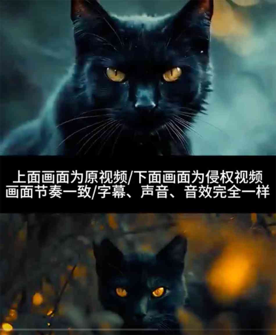 小猫ai文案