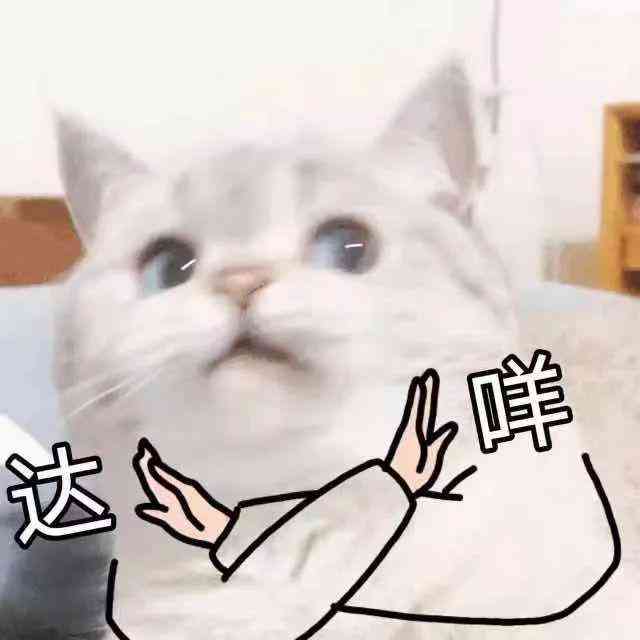 小猫ai文案