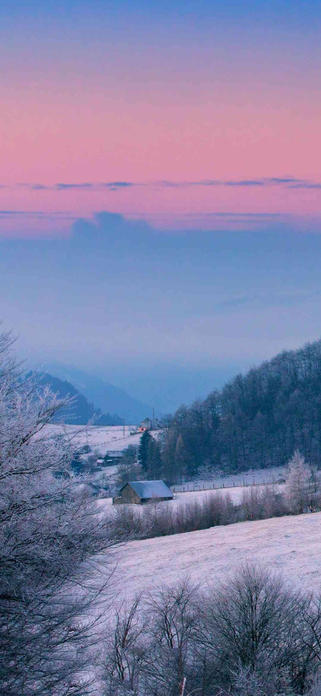 在这初雪时分，浪漫文案让人感受美好的雪花瞬间