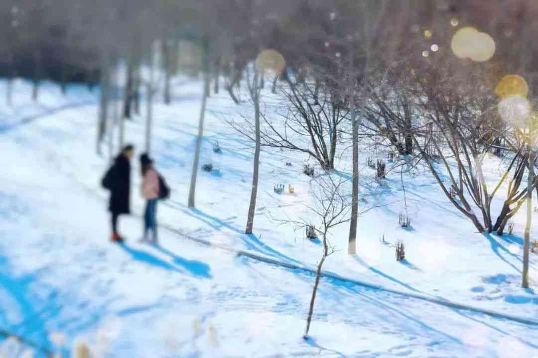 在这初雪时刻，与你喜欢的人一起感受浪漫美好，共享适合朋友间的文案喜悦