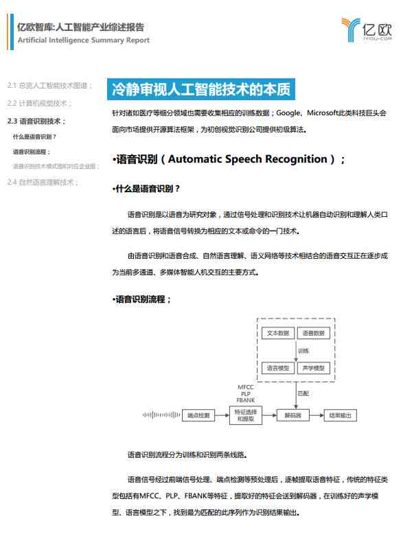 人工智能项目原创评估报告模板及文档范例