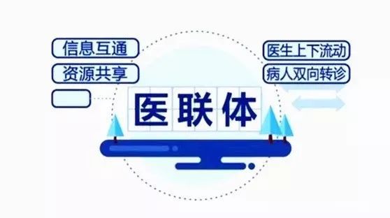 全面资源整合：解说文案素材大全及创作指南网