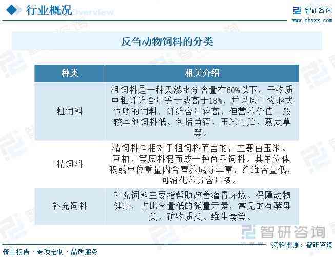 全面解析物流行业文案撰写攻略：涵关键词、优化策略与用户需求解答