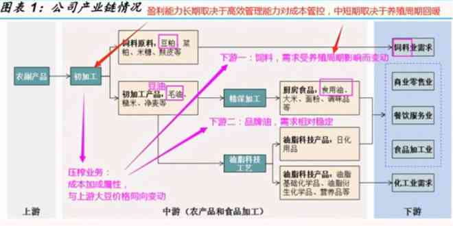 深度解析：如何高效提取写作鱼AI生成文本的复制技巧与全面应用指南