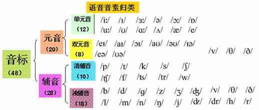 音标课程传词：全面攻略与100字精粹话术集锦