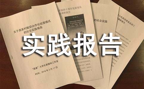 社会实践与实报告格式要求：字体大小及标准规范文库指南