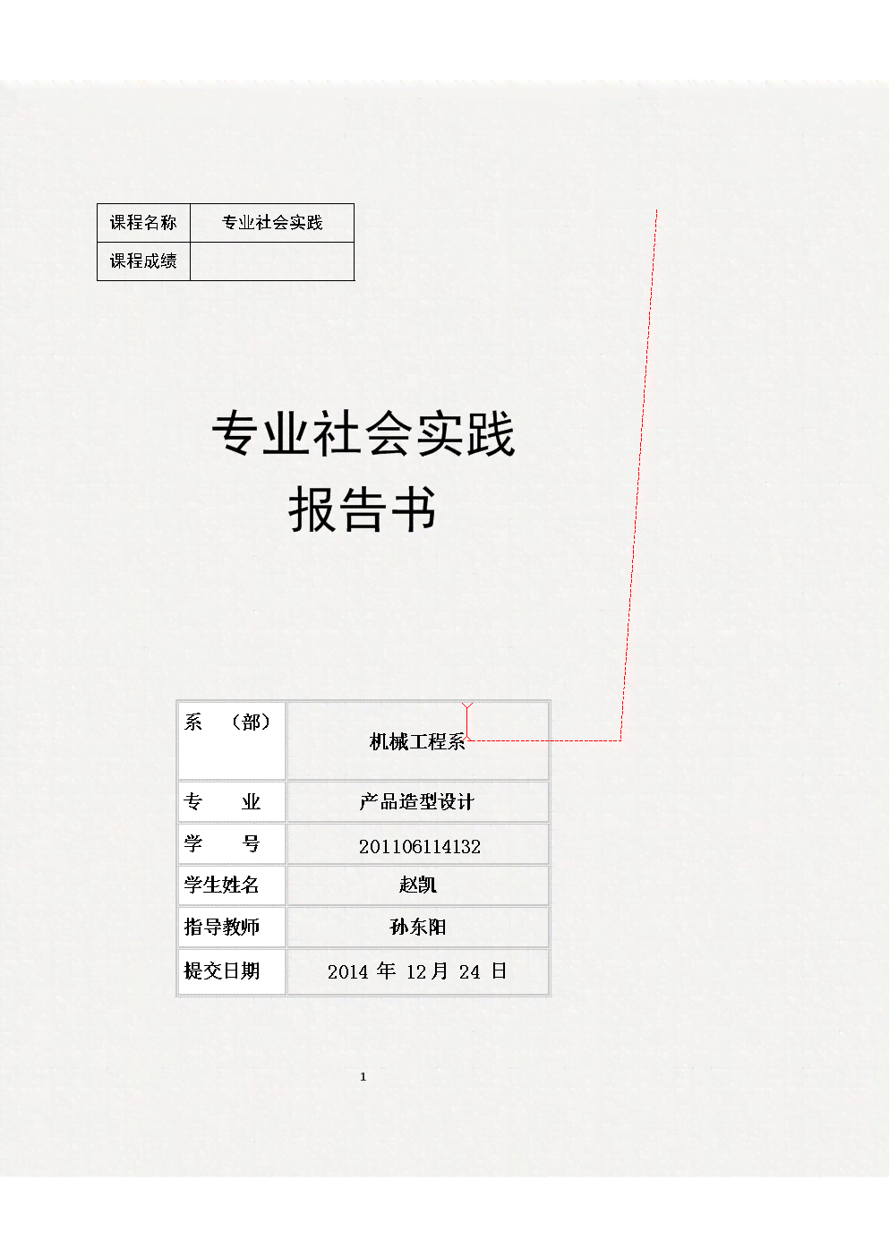 社会实践与实报告格式要求：字体大小及标准规范文库指南