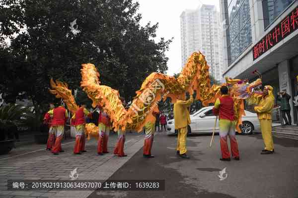 溜溜舞龙模型图片素材集免费，畅享高清舞龙体验