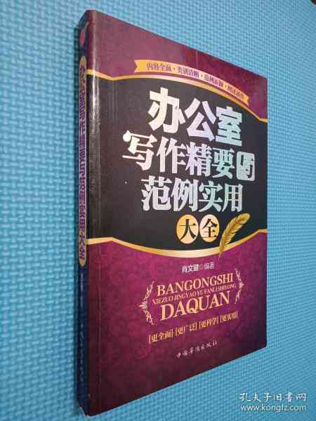 策划案例精选：写作范例与内容要点详解