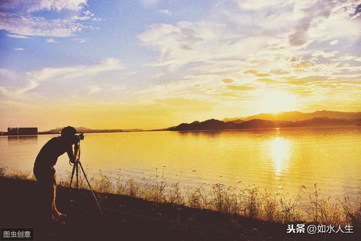 蔷薇花文案：高级短句，干净治愈感