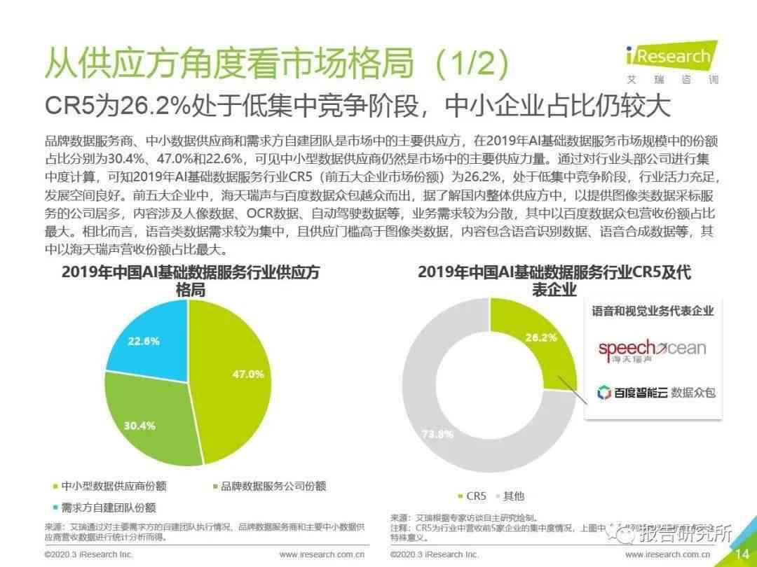 ai年度报告解读