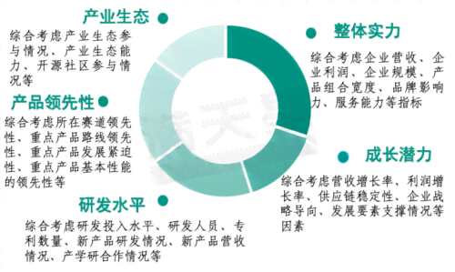 深度解读：实小编综合能力评估报告——全面剖析行业领先技术与应用前景