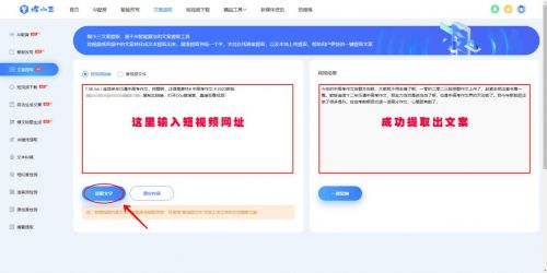 智能文案提取：哪里寻找免费视频文字提取工具及方法