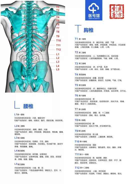 全方位治愈指南：解决常见问题及疑难杂症的全面解决方案系列