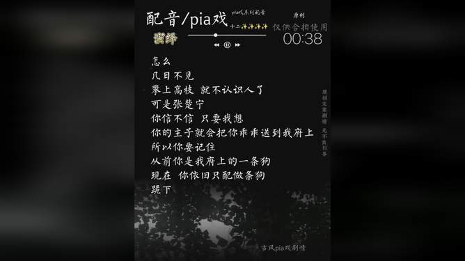 适合配音人物的伤感短句文案集锦