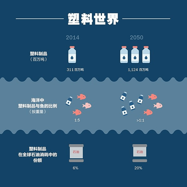 塑料瓶ai关键词分析报告