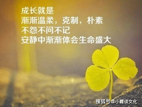 一句关于爱情的美妙句子，适合我们朋友间分享的文案