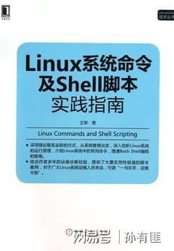 2021版AI脚本编写与安装使用教程：从入门到精通的指南，详解怎么应用插件