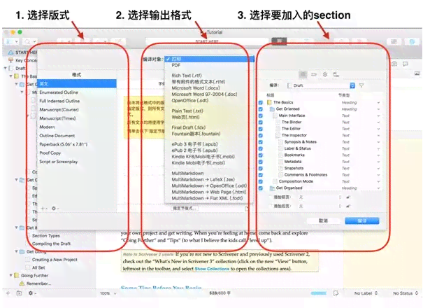 全面指南：火龙果写作软件、安装及使用教程