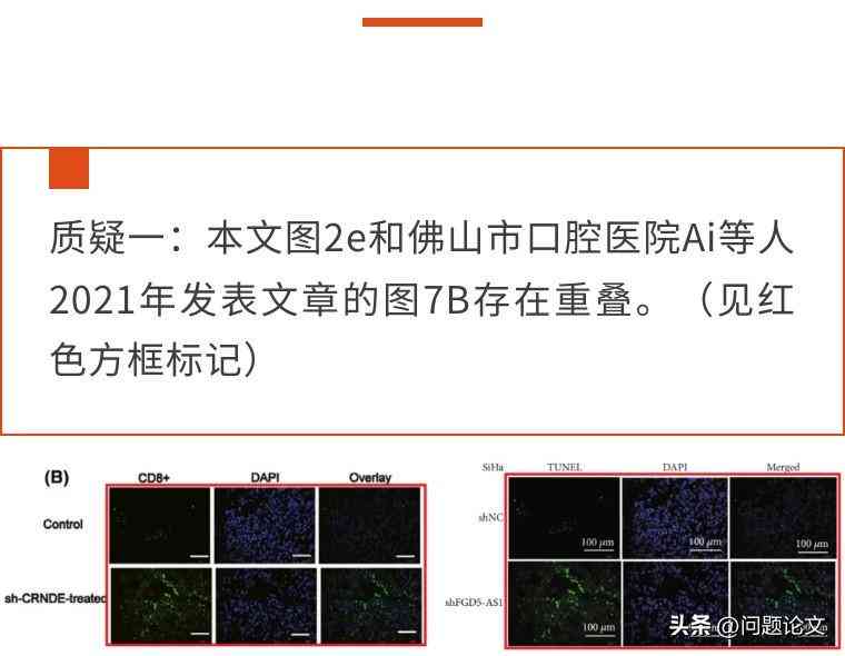 ai创作的诗歌可以查重嘛：探讨AI诗歌原创性与查重技术的应用