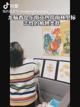 剪映ai配音文案素材