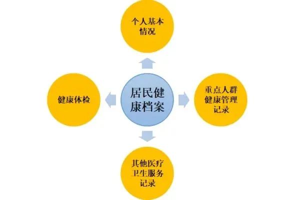 全面解读居民健档案SOAP记录：从建立到应用，深入剖析健信息管理要点