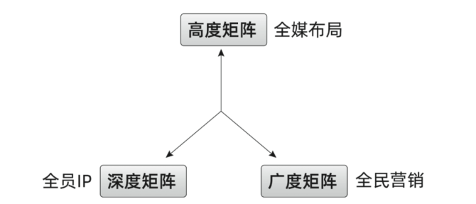 全方位构建高效账号矩阵：策略、技巧与实践指南