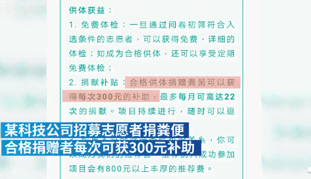 新《全方位攻略：新闻文案撰写模板，一站式解决用户搜索痛点与需求》